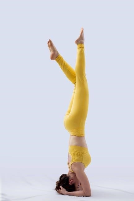 core stability exercises pdf